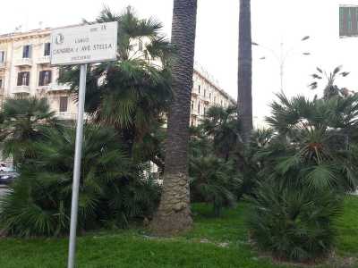 Qui, in largo Candida e Ave Stella sono nascosti degli oggetti misteriosi