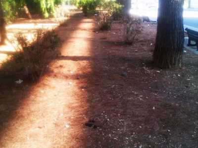 Verde in Comune