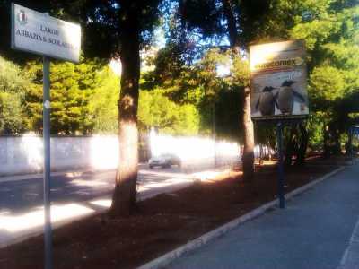Verde in Comune