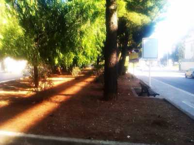 Verde in Comune