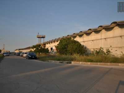 Attraverso un cancello entriamo in una grande area industriale: seguiamo la strada asfaltata fino a un grande spiazzo usato come parcheggio. Alla nostra destra si trova lo scheletro dell�ex stabilimento dell�Alco Palmera
