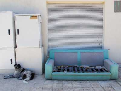 Il silenzio � assordante, interrotto solo dal ticchettio delle zampette dei due cani che vagano indisturbati