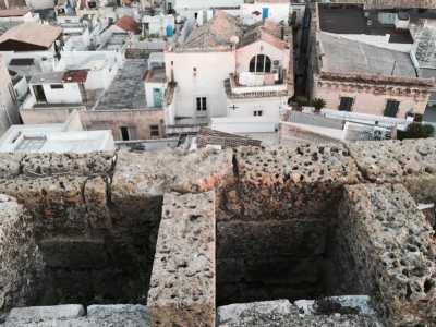 I merli e il borgo antico sullo sfondo