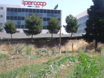 Panoramica del campo