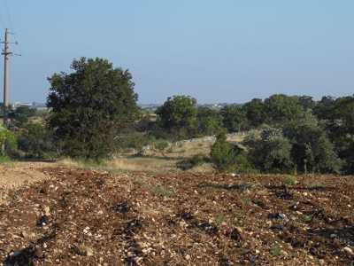 La particella di terra, di propriet� del Comune di Rutigliano, che sta bloccando i lavori per il depuratore che porter� le acque reflue di Casamassima in Lama San Giorgio a Rutigliano