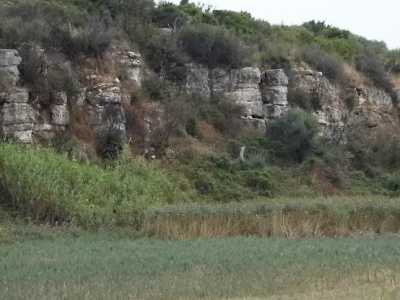 Costone roccioso in Lama Balice