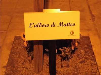 Targa commemorativa posta alla base dell'albero di Matteo