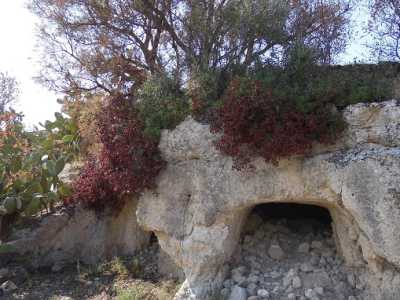 Uno degli ingressi ai vani ipogei del complesso "La Caravella": nella foto � visibile l'ostruzione causata dal crollo delle pietre e dall'accumulo di materiale edilizio lasciato abusivamente.