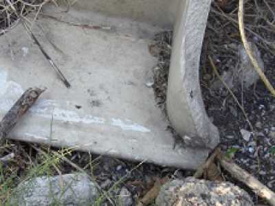 Un croco fa mostra di s� fra i resti di un lavabo in ceramica abbandonato davanti all'ipogeo "La Caravella".