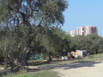 Il campo Rom in Lama Picone, nei pressi dell'ipogeo La Caravella e, sul fondo, alcuni caseggiati che si affacciano sulla lama