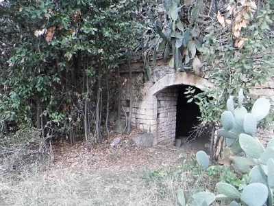 Trappeto dell'olio rosso: ingresso