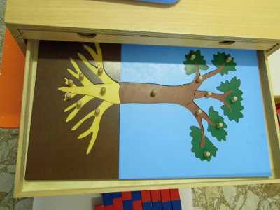 Uno dei puzzle didattici in legno per l'apprendimento delle parti di un albero