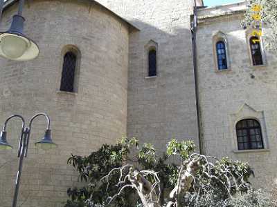 L'angolo del giardino della chiesa russa di Bari in cui si trovano i vasetti con le querce eleganti di Carpignano salentino