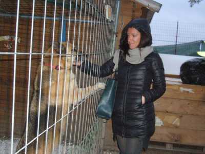 Giovinazzo, Il canile della Lega per la protezione del cane