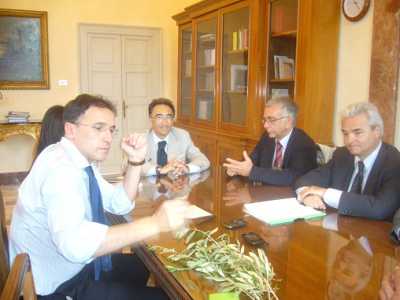 Legge taglia ulivi a Roma