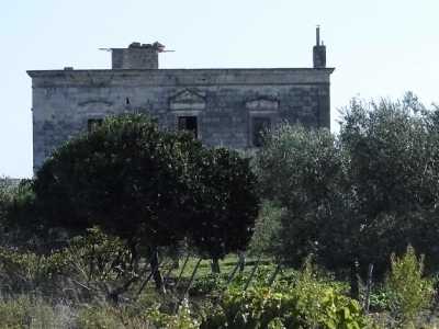 La masseria Torre dei cani