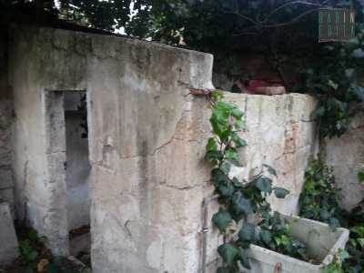 Il pollaio