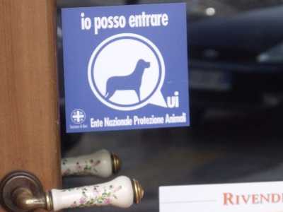 Cani nei luoghi pubblici: c'� confusione