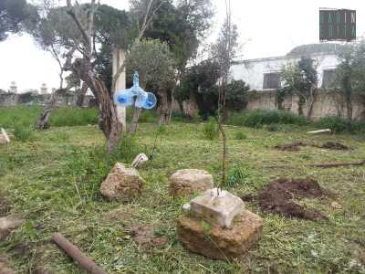 Resti di un vecchi gazebo e la caratteristica girandola spavantapasseri