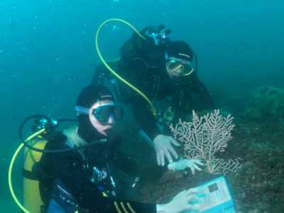 Uso del riconoscitore subacqueo