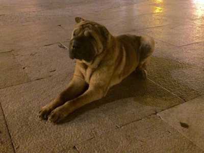 Giunta la sera Romeo si sposta a Bari Vecchia: qui � in piazza Mercantile 