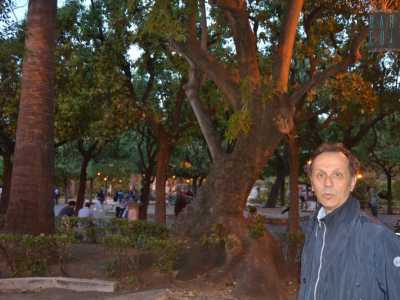 L'angolo pi� bello del parco: il salotto. Nella foto Lorenzo Scarcelli, il presidente del Comitato piazza Umberto