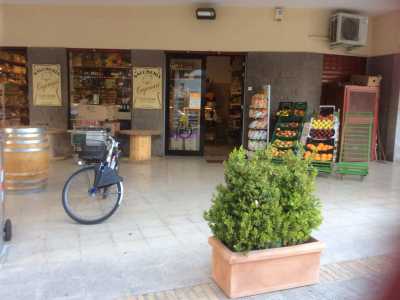 La salumeria del Quartierino, insieme all'asilo privato, a un parco giochi privato e a un'autocarrozzeria � l'unico servizio commerciale nell'area