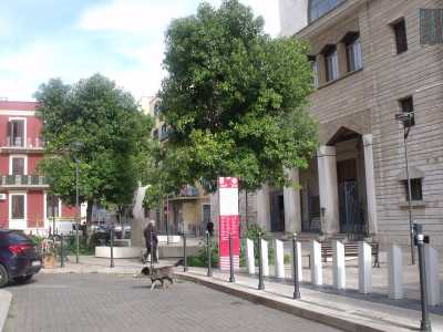 Abbastanza artificiosa e per met� occupata da un accesso a un garage � la piazzetta recentemente realizzata sul sagrato della Chiesa di San Pasquale, che d� il nome al quartiere