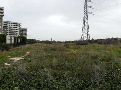 Una panoramica del parco