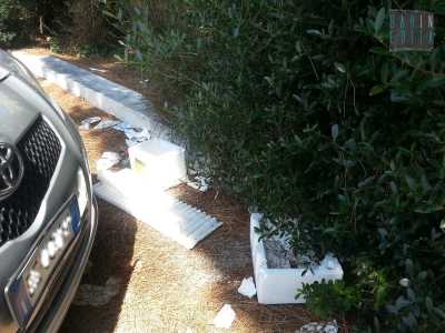 Rifiuti tra le auto parcheggiate