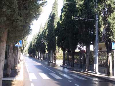 Tratto finale della linea - zona cimitero