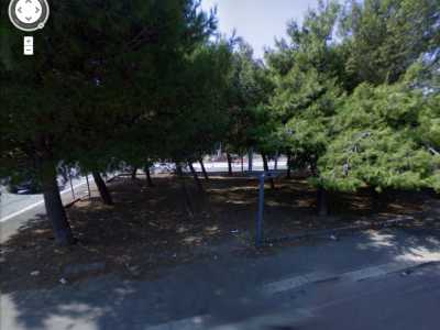Gli alberi presenti, prima dei lavori (google maps)