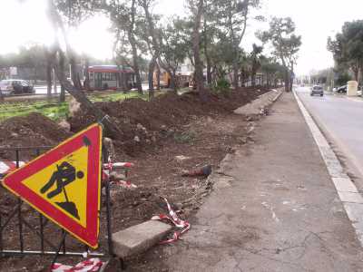 Japigia, alberi abbattuti per la pista ciclabile