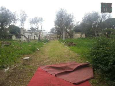 Il grande viale