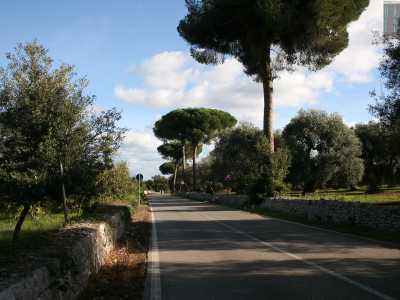 Per raggiungere Cozzana da Bari, bisogna percorrere la statale 16 fino all�uscita Monopoli�Conversano e da qui imboccare la provinciale 114, una pittoresca strada delimitata da muretti a secco e costeggiata da pini marittini e ulivi