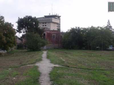 L'area verde incolta che circonda l'edificio: da via Fanelli parte un piccolo sentiero che conduce al portone murato