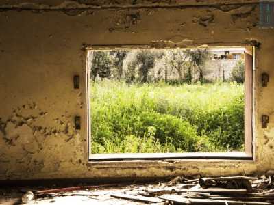 Da una finestra � possibile osservare il "muro" di alta e selvaggia erba e margherite giganti 