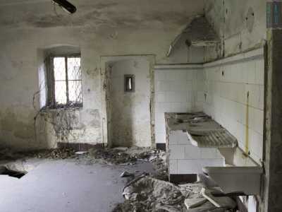 L�ampia cucina con volta a botte, fatta letteralmente a pezzi in ogni suo elemento e con i rami degli alberi che invadono la stanza attraverso la finestra