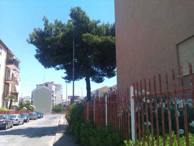 vista viale