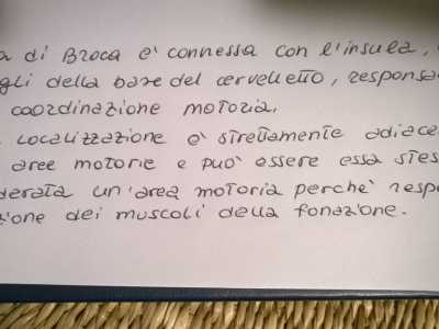 Una grafia che non presenta allungamenti n� in alto n� in basso, ed � la tipica scrittura delle nuove generazioni, che denota un attaccamento al presente e poco ascolto delle proprie emozioni