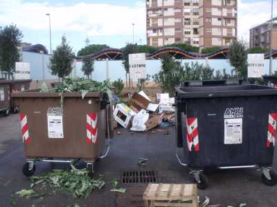 Zona ecologia. Cassonetti semivuoti e rifiuti a terra