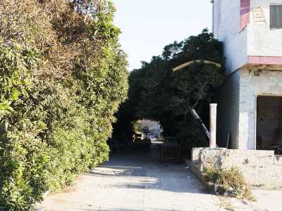 ... e un vialetto laterale coperto dalla vegetazione sulla sinistra 