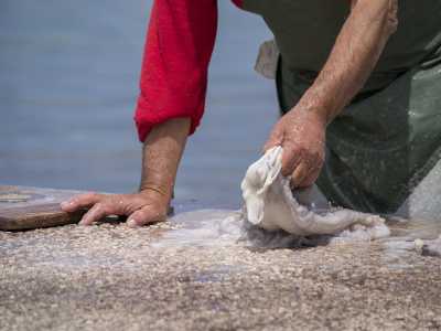 Rita Alessia Dispoto: Reflex, che passione