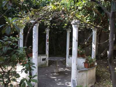 Tra la fitta flora balza all'occhio un grazioso chiosco con un tavolino al centro