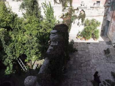Il giardino visto dall'alto: le piante che possiamo ammirare sono soprattutto essenze di agrumi