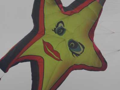 Vulandra Ferrara 2009