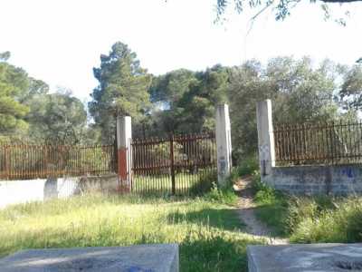 Il "Boschetto delle fate": ritrovo delle sette sataniche