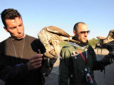 I falconieri Claudio Carella e Antonio Masciale che prima gestivano i rapaci nell'aeroporto di Bari Palese (Foto di Paola Sarappa - 2011)