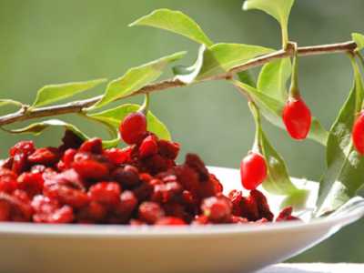 Bacche di Goji