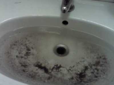I bagni di Giurisprudenza e Scienze Politiche